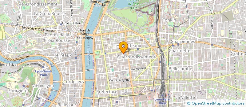 localisation de l'entreprise L BOUTIC  LYON