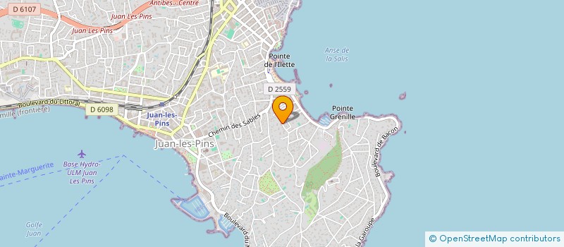 localisation de l'entreprise L D L  ANTIBES