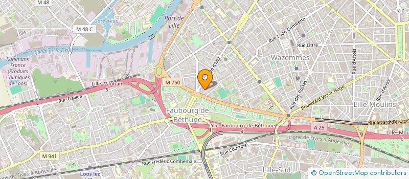localisation de l'entreprise L D S L à LILLE