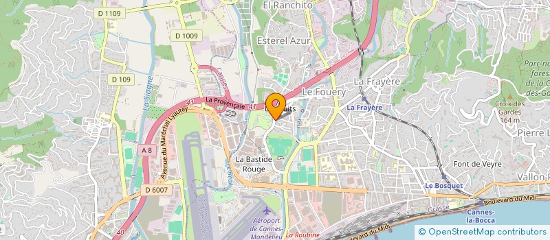 localisation de l'entreprise L-DRIVER  CANNES