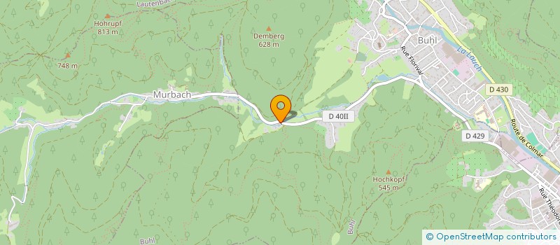 localisation de l'entreprise L EAU VIVE à BUHL