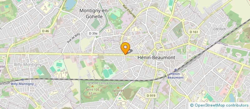 localisation de l'entreprise L'ELEGANCE CANINE à HENIN-BEAUMONT