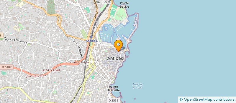 localisation de l'entreprise L'ELEVIN  ANTIBES