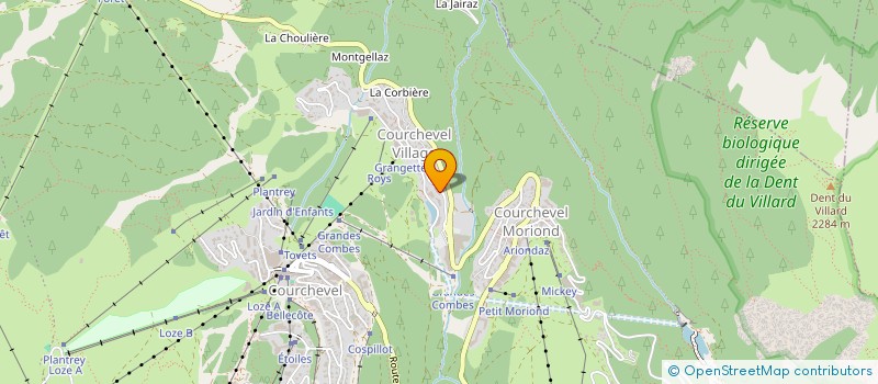 localisation de l'entreprise L'ENSOLEILLEE à COURCHEVEL