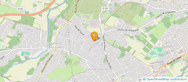 localisation de l'entreprise L'ENTREPRENEUR TOULOUSAIN.FR à LA SALVETAT-SAINT-GILLES