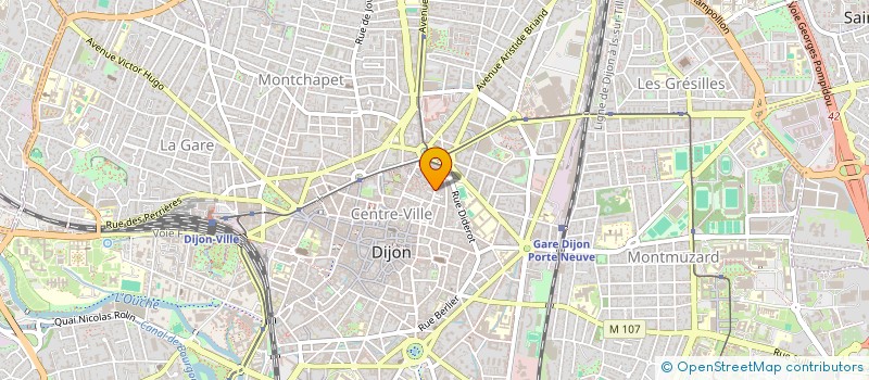 localisation de l'entreprise L'EPI FLORISSANT 2 à DIJON