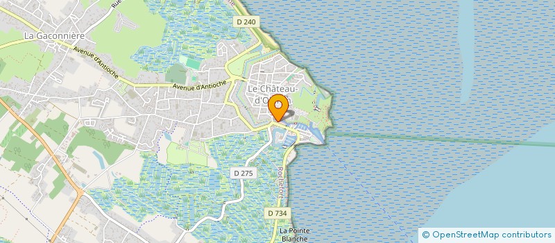 localisation de l'entreprise L'ESCALE D'ARTISTES  LE CHATEAU-D'OLERON