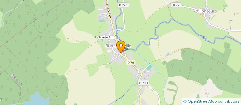 localisation de l'entreprise L ET M  BRIN-SUR-SEILLE