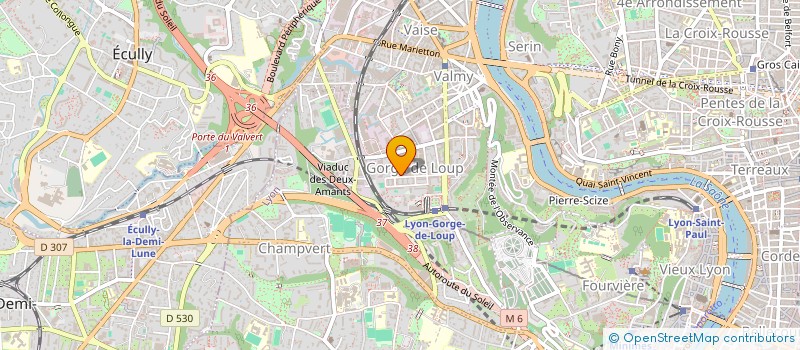 localisation de l'entreprise L'ETOILE BRILLANTE  LYON