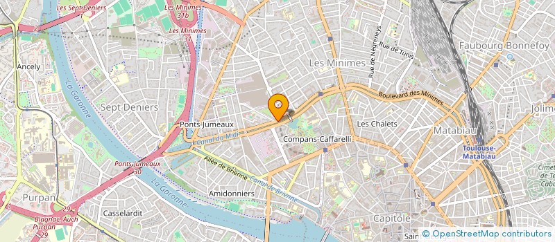 localisation de l'entreprise L'ETOILE DES BERGERS à TOULOUSE
