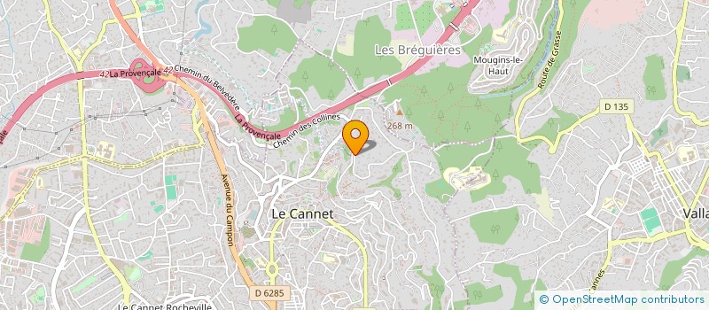 localisation de l'entreprise L'ETOILE FLAMBOYANTE  LE CANNET