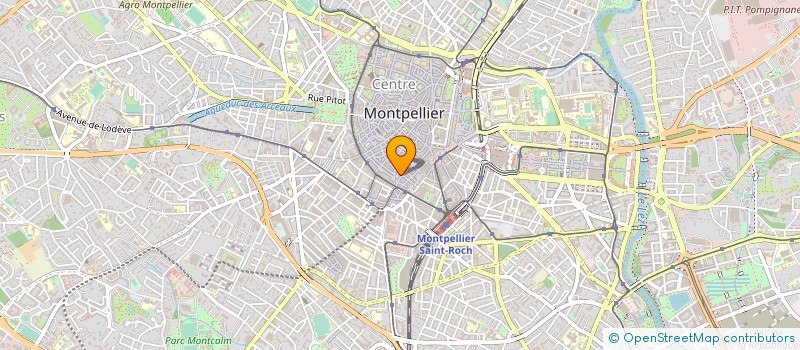localisation de l'entreprise L'ETOLE D'ARGENT à MONTPELLIER