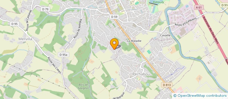 localisation de l'entreprise L EVEIL AUX MONDES  JOUE REV APPR à CASTANET-TOLOSAN