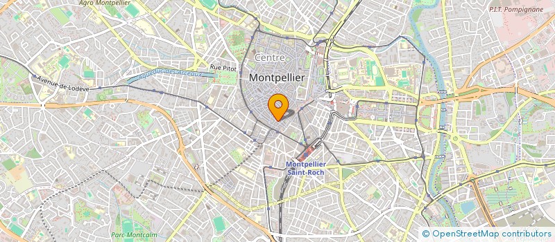 localisation de l'entreprise L EVEIL DES SENS à MONTPELLIER