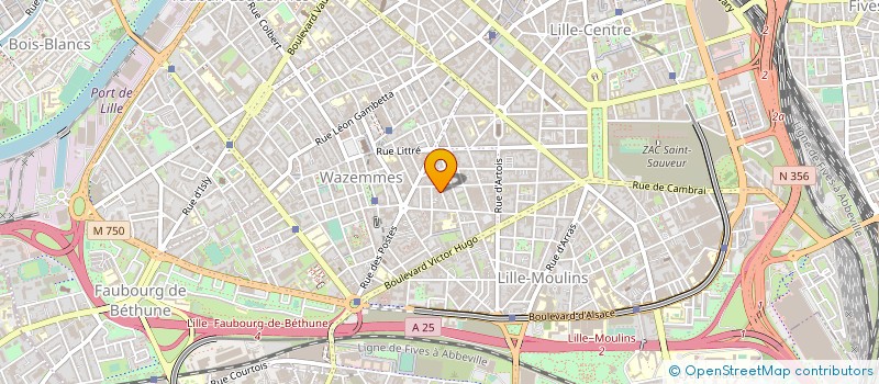 localisation de l'entreprise L'EXOTIQUE-KARIBU à LILLE