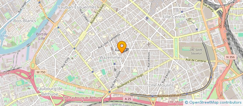 localisation de l'entreprise L'HEUREUZE ASS DES GUS AMIS DU GEANT LE CHAMANE à LILLE