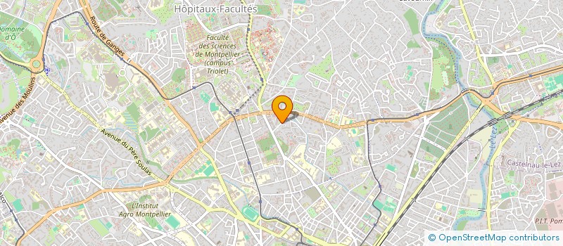 localisation de l'entreprise L'HIRONDELLE à MONTPELLIER
