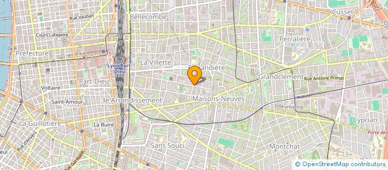 localisation de l'entreprise L'HORIZON FLEURI  LYON