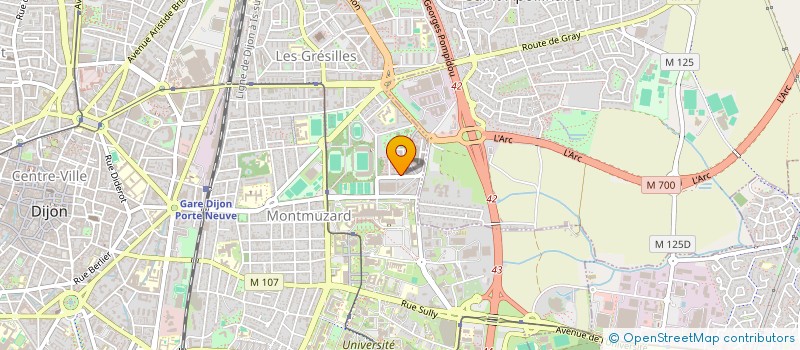 localisation de l'entreprise L'HYACINTHE  DIJON