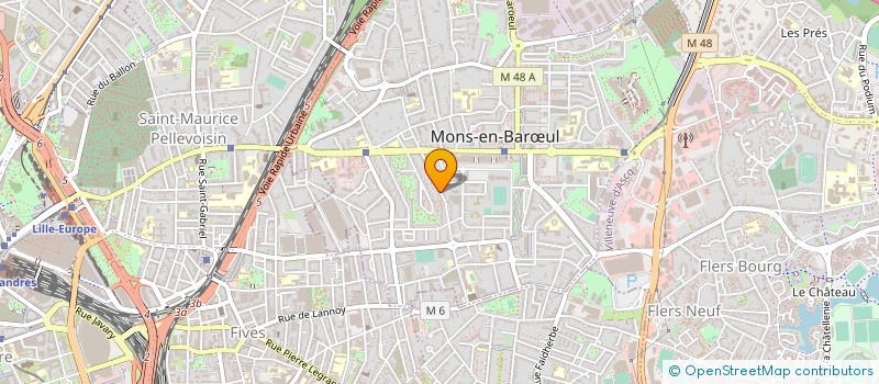 localisation de l'entreprise L'ILE LA MAISON DES CULTURES  MONS-EN-BARUL