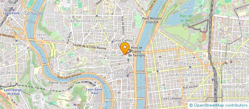 localisation de l'entreprise L'IMAGE SURVIVANTE à LYON