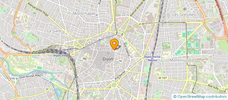 localisation de l'entreprise L IMMOBILIERE DES DUCS à DIJON