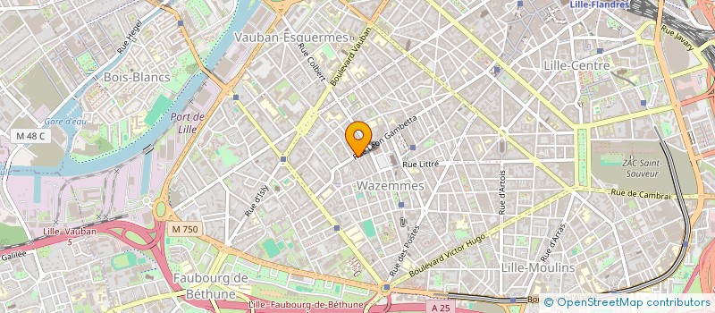 localisation de l'entreprise L'IMPARFAIT- MICROCOSME CULTUREL ET CARAMELISE à LILLE