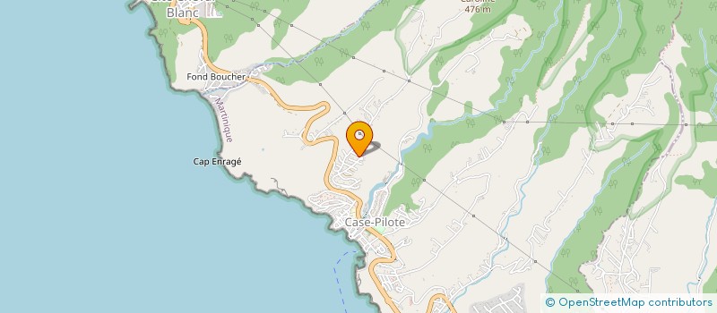 localisation de l'entreprise L'INSTITUT PULPE D'ORANGE à CASE-PILOTE