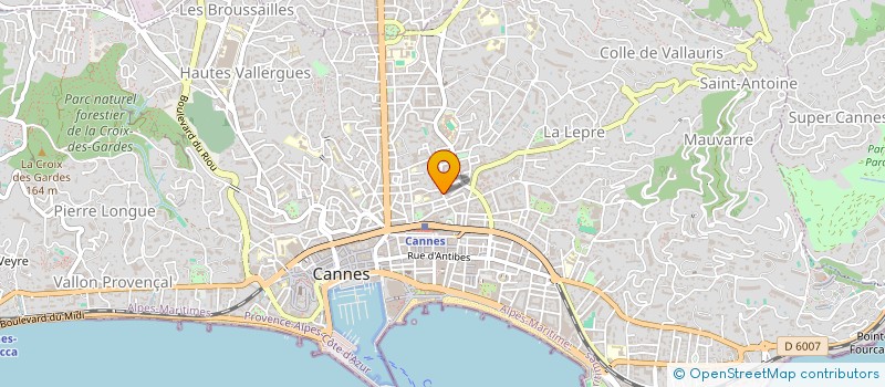 localisation de l'entreprise L'ODYSSEE  CANNES