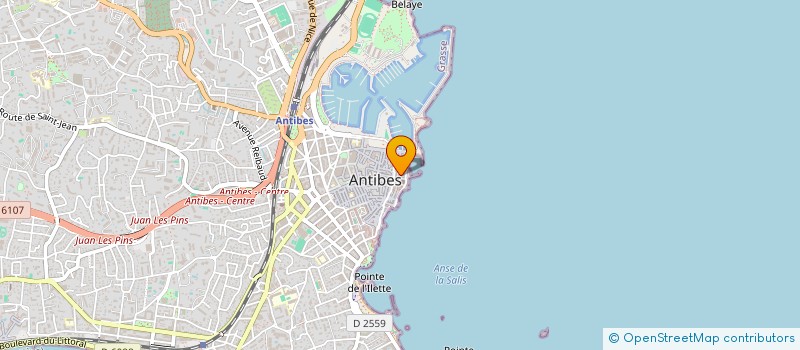 localisation de l'entreprise L ODYSSEE DES ARTISTES à ANTIBES