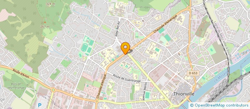localisation de l'entreprise L'ODYSSEE DES CHERUBINS à THIONVILLE