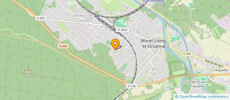 localisation de l'entreprise L'OEIL SOLIDAIRE  MORET-LOING-ET-ORVANNE