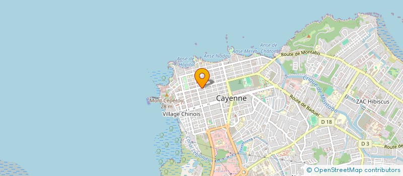 localisation de l'entreprise L'OISEAU RARE à CAYENNE