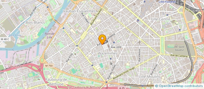 localisation de l'entreprise L'OISEAU SERPENT à LILLE