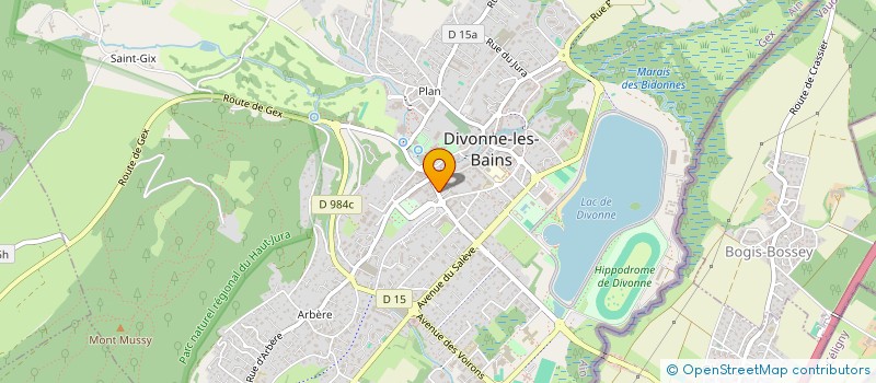 localisation de l'entreprise L'OLIVIER  DIVONNE-LES-BAINS