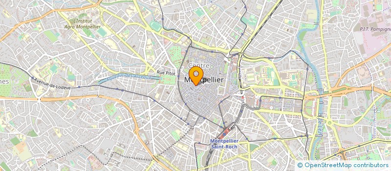 localisation de l'entreprise L'OPUSCULE à MONTPELLIER