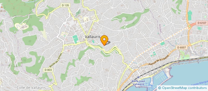 localisation de l'entreprise L'ORANGERAIE à VALLAURIS