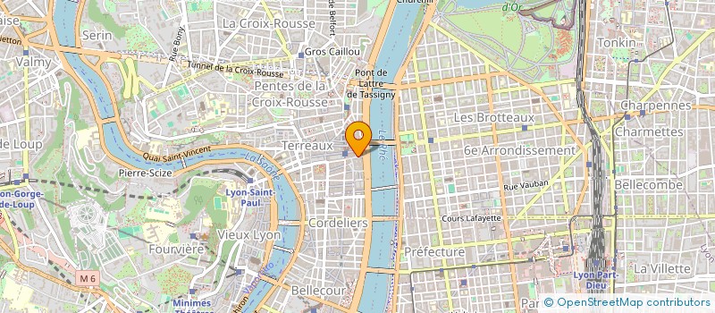 localisation de l'entreprise L ORGANISATION à LYON
