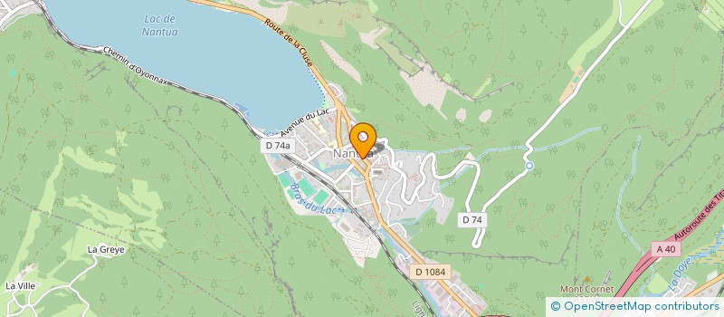 localisation de l'entreprise L'ORIENTAL NANTUA à NANTUA