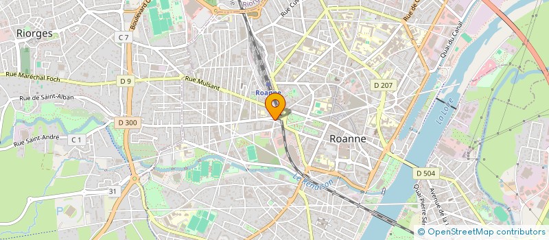 localisation de l'entreprise L'ORIENTAL SPA DOUCEURS D'ORIENT à ROANNE