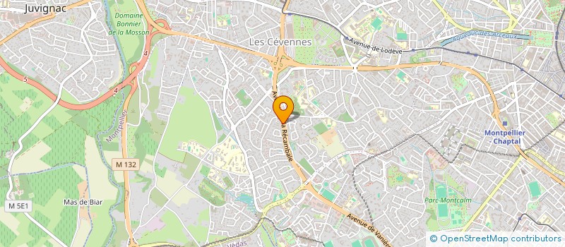 localisation de l'entreprise L'UNION DES PEUPLES POUR L'EGALITE DES CHANCES à MONTPELLIER