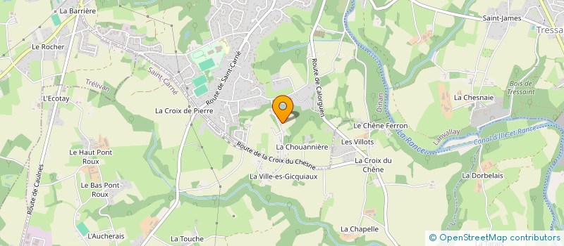 localisation de l'entreprise L V OPPORTUNITY à DINAN