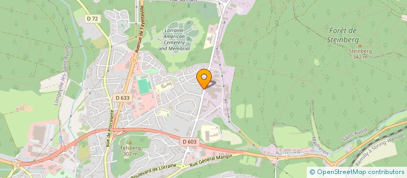 localisation de l'entreprise LA BARAK A FRITES  SAINT-AVOLD