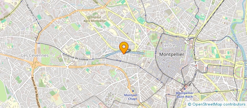 localisation de l'entreprise LA BARAKA DE LA SMALA à MONTPELLIER