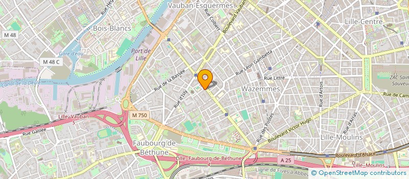 localisation de l'entreprise LA BELLE JONQUILLE  LILLE