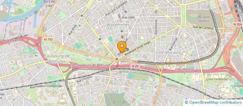 localisation de l'entreprise LA BIBLE POUR TOUS à LILLE