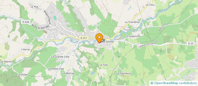 localisation de l'entreprise LA BONNE TABLE à THURINS