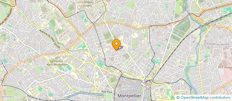 localisation de l'entreprise LA BOUCHERIE DE BOUTONNET à MONTPELLIER