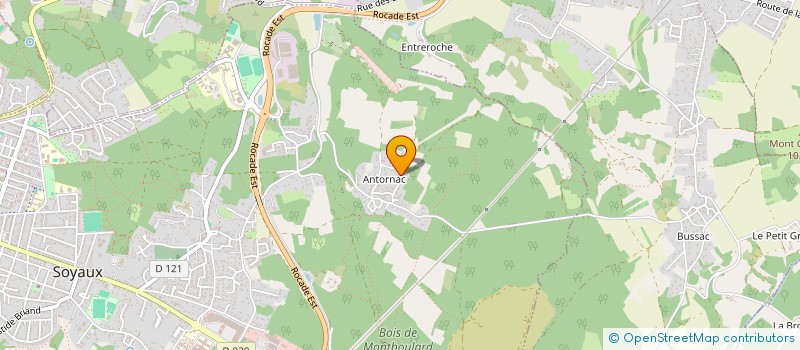 localisation de l'entreprise LA BOUINEUSE  SOYAUX