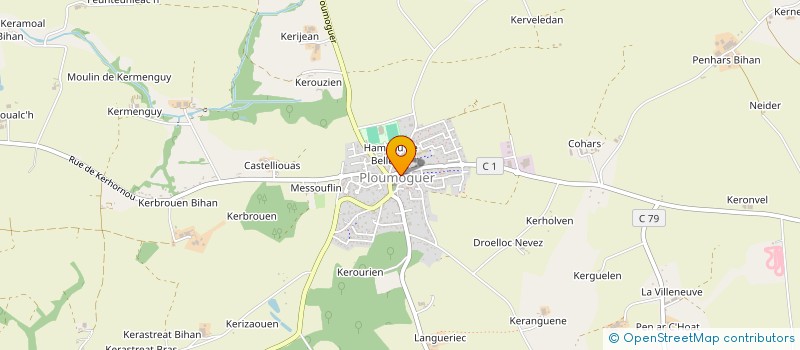 localisation de l'entreprise LA BOULE DE PLOUM  PLOUMOGUER